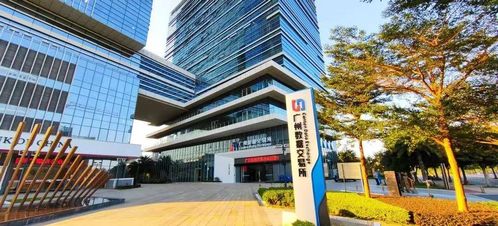 掘金數字經濟，肇慶掌握發展秘鑰